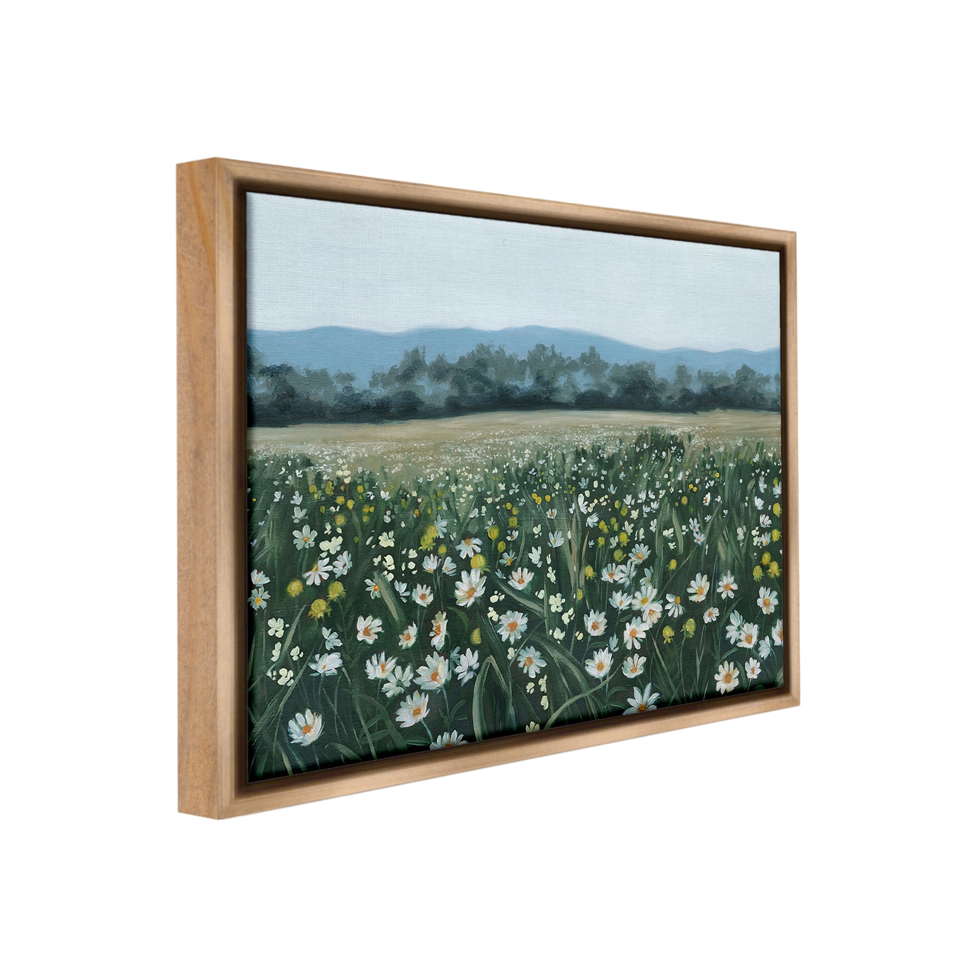 Stupell Industries Traditional Daisy Meadow Landscape Painting Brown Floater Framed Canvas Art Print Wall Art, 31 x 25