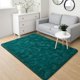 thumbnail image 1 of Alfombra BENRON de 91 x 152 cm, suave, esponjosa, lavable, verde azulado, 1 of 6