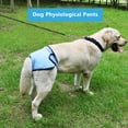 thumbnail image 1 of Padena fisiológica para perros, Ropa Interior de Cachorro 1pcs Pantalones de Algodón para perro, Pantalones de algodón de perro pantalones fisiológicos para mascota gato párr., 1 of 7