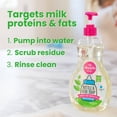 thumbnail image 4 of Dapple Bottle & Dish Soap - Fragrance Free - 3 fl oz: Hypoallergenic, Paraben-Free, Sulfate-Free, Dye-Free, 4 of 17