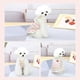 thumbnail image 2 of Cumpleaños Perro Vestido Niña Arco iris Colorido Rayas Linda Cereza Princesa Falda Primavera Verano Ropa para mascotas para cachorros Pequeños perros medianos Gatos Vestidos Zhivalor Ropa para Gato, 2 of 8