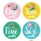 thumbnail image 1 of Baby Milestone Stickers Floral Month Sticker for Infant Use 12Pcs Set, 1 of 5
