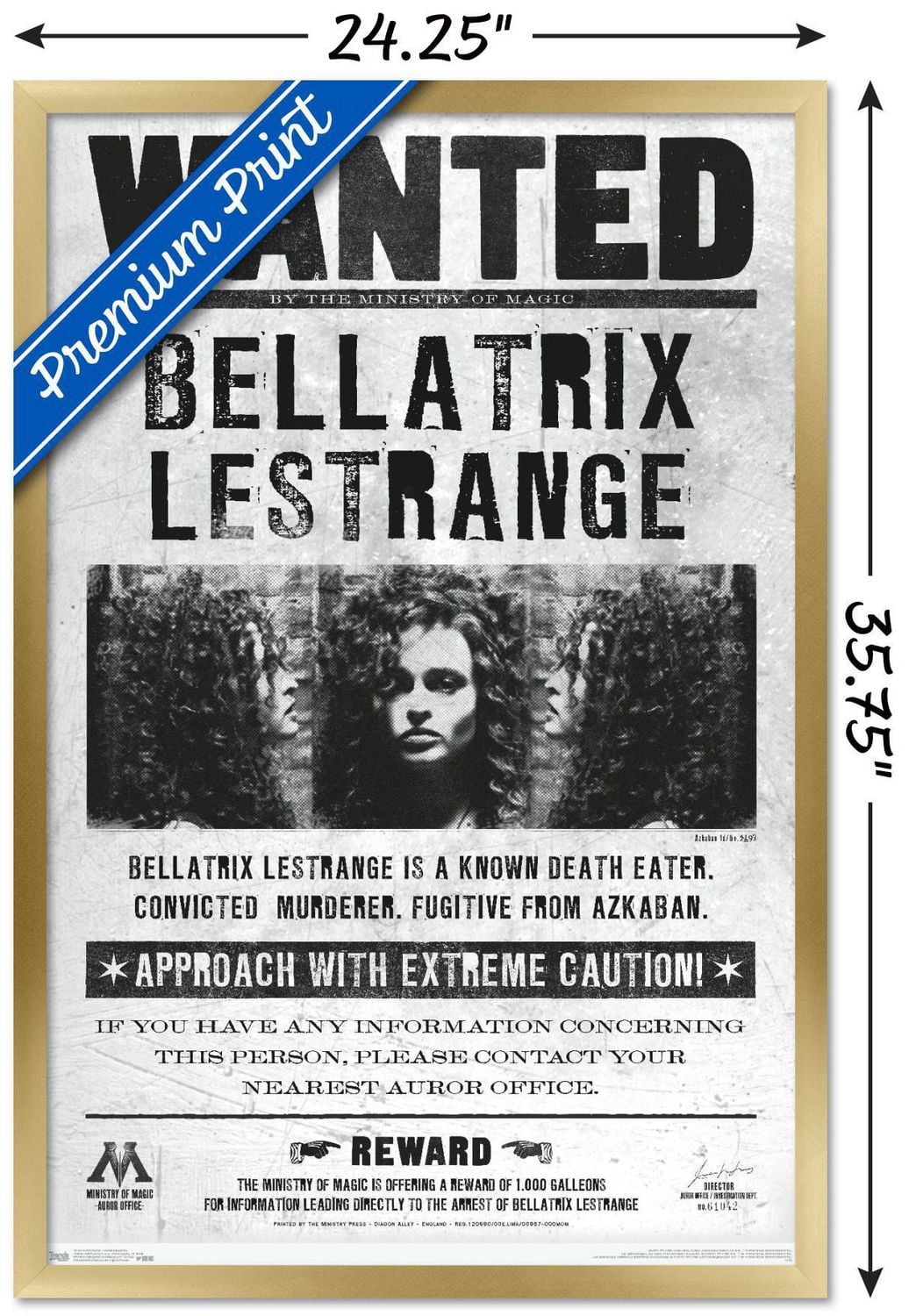 The Wizarding World: Harry Potter - Bellatrix Wanted Poster Wall Poster