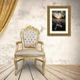 thumbnail image 3 of Matsubara, Hiroki 11x14 Gold Ornate Wood Framed with Double Matting Museum Art Print Titled - Flowers That Bloom Only Here, 3 of 4