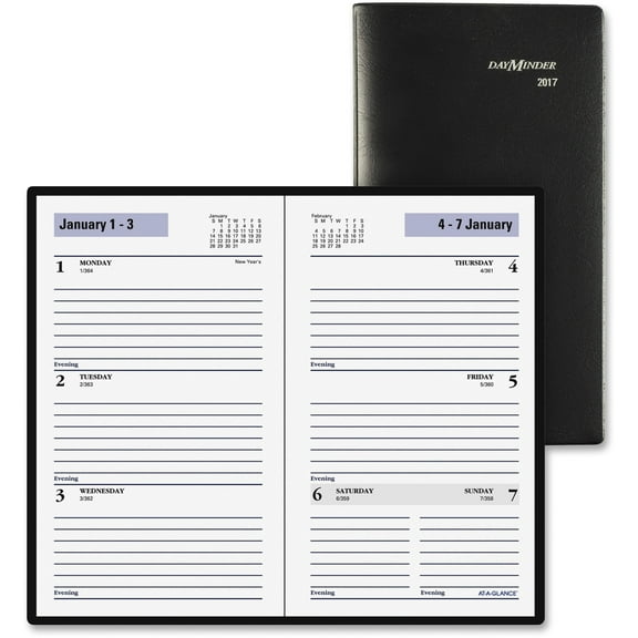At-A-Glance DayMinder Weekly Pocket Planner