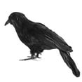 thumbnail image 5 of Darzheoy 3Pcs Halloween Black Crows, Halloween Realistic Black Feather Crows Halloween Party Outdoor Decorations Birds Prop, 5 of 9