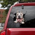 thumbnail image 4 of Animal Crack Car Sticker, 11.8 x 11.8 inch Car Window Decal,Multiple Styles Pet Static Electricity Sticker for Cars,3D Realistic Waterproof DIY Car Window Paste Stickers (J), 4 of 7