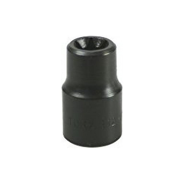 E12 2024 torx socket