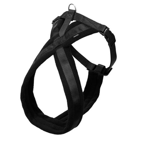 Front Range Dog Harness Review Front Range Dog Harness Review