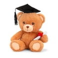 thumbnail image 1 of Peluche Deluxe Paws Oso de Graduación Eco 18 cm, 1 of 6