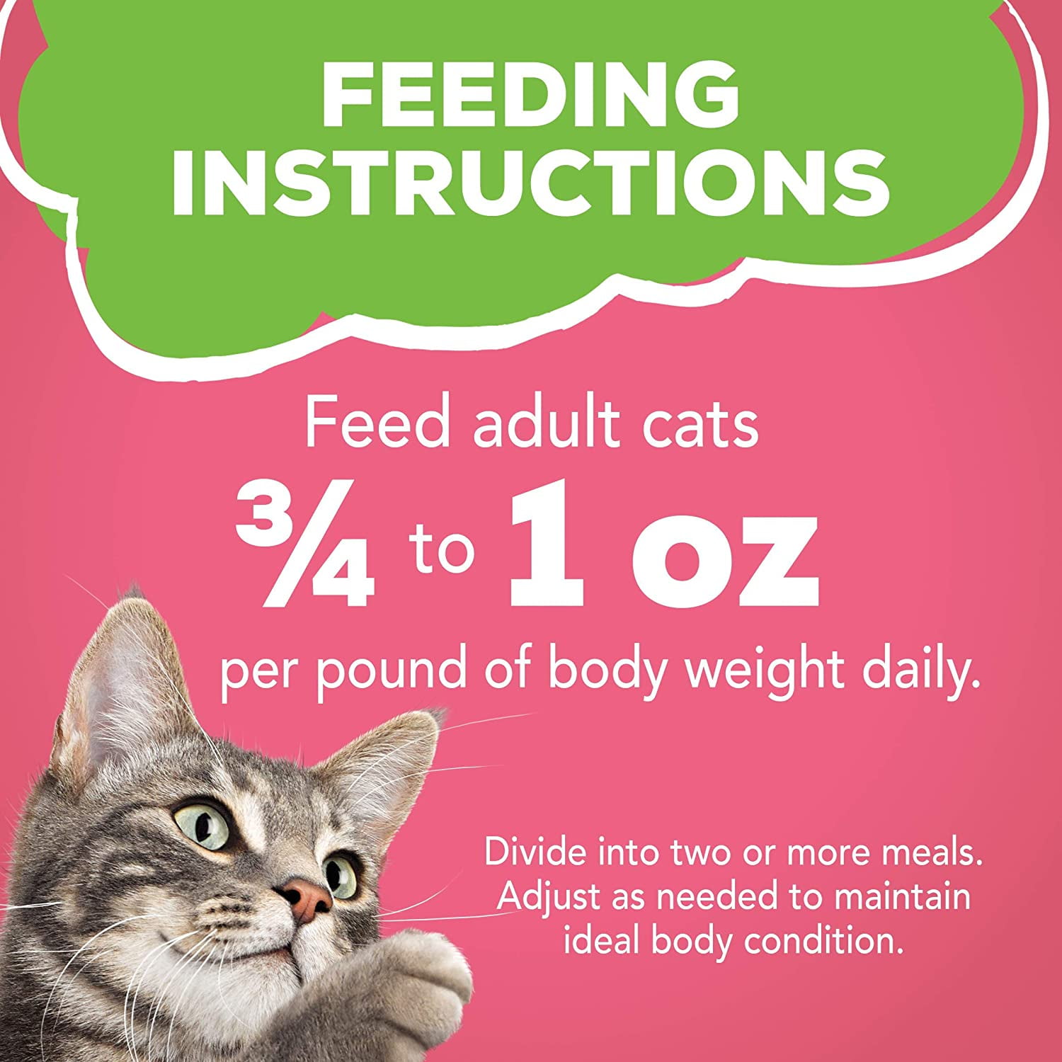 Friskies Pate Salmon Dinner Wet Cat Food, 5.5 OZ , 12 Count