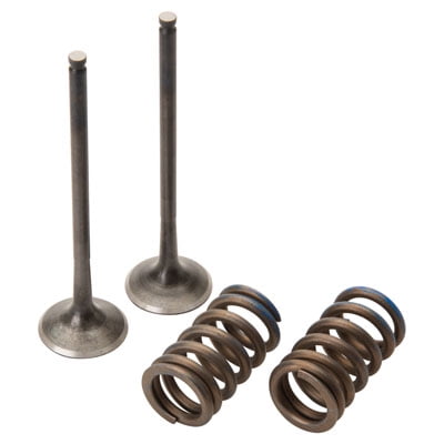 Pro X 28.SES6333-1 Steel Exhaust Valve/Spring Kit