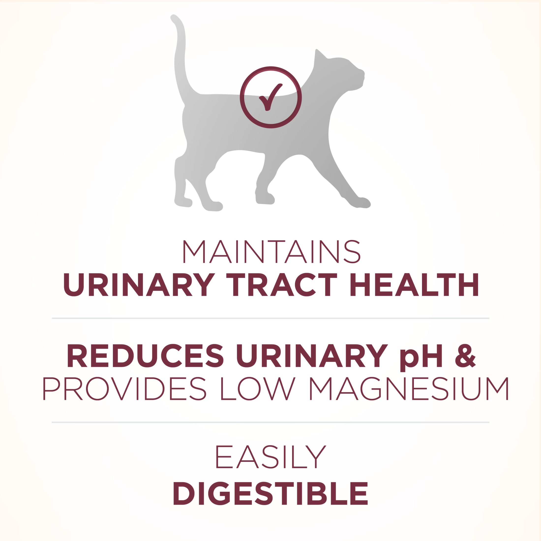 Purina ONE Plus Urinary Tract Health Chicken Dry Cat Food, 7 lb photo 6