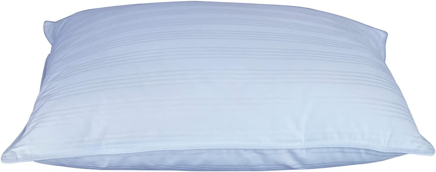 Worlds Flattest Down Pillow Designed to Really Thin Perfect for