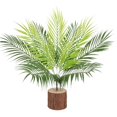 thumbnail image 4 of DIY Boston Fern Plants  UV Resistant Faux Greenery Bushes Shrubs, 4 of 10