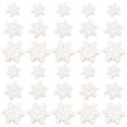 thumbnail image 1 of 50Pcs White Resin Snowflake Ornament for Christmas Home Decoration Craft Projects, 1 of 8