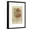 Black Frame, variant on Art.com Floral Pattern Study I Art Print by Ethan Harper, 12" x 18"