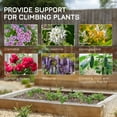 thumbnail image 4 of Outsunny Metal Garden Trellis Pack of 2 for Climbing Plants, Black, 4 of 10