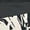 Off White,Black, variant on Ladies CK Logo Moisture Wicking High Rise Bike Short (Drybrush Logo Black, XS)