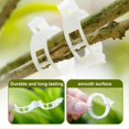 thumbnail image 3 of 200PCS Clips de Soporte para Plantas Clips de Jardín Soportes para Tomates/Conecta Plantas/Cordeles/Enrejados de Enredaderas/Jaulas Plantas de Vid Verde, 3 of 5