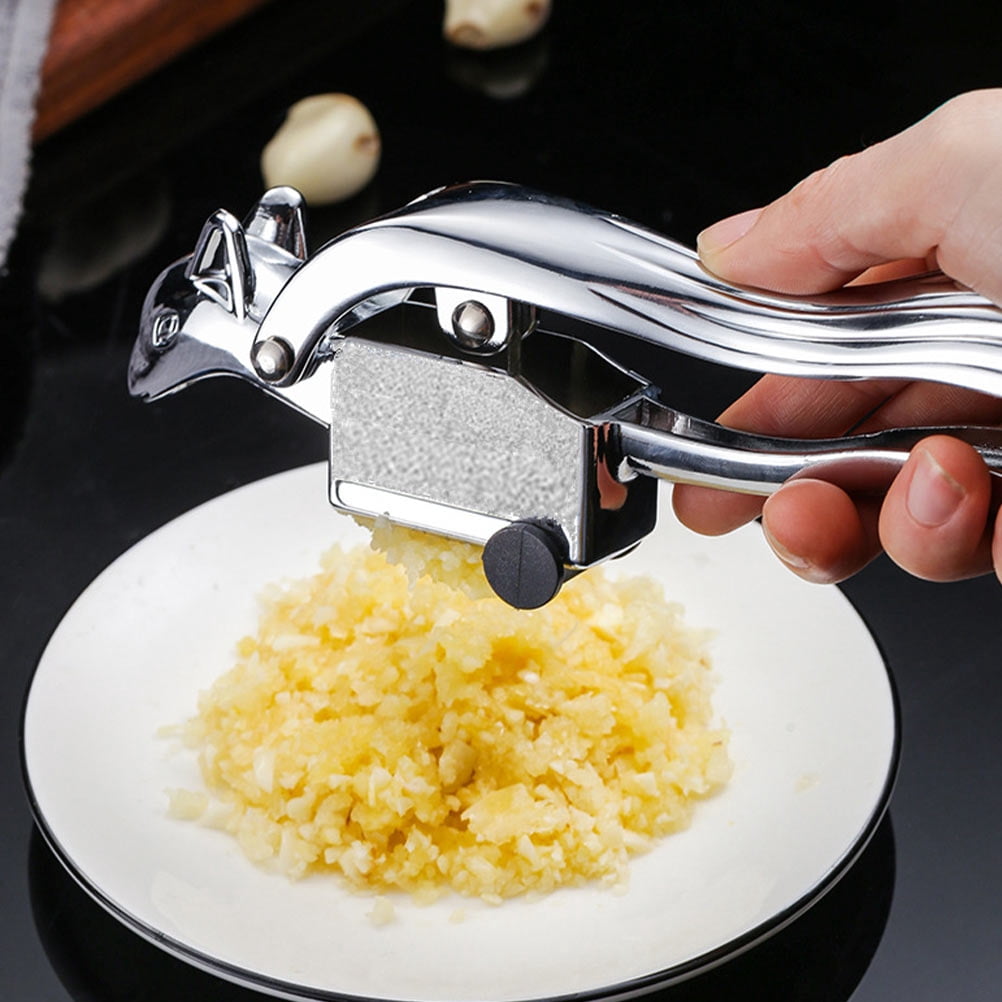 ETHZZLE Garlic Press Manual Crusher 1Pc Kitchen Tool Stainless Steel with Nylon Handle Gadget