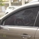 thumbnail image 1 of Parasol Magnético Para Coche, Protección Uv, Cortina Para Coche, Parasol Para Ventana De Coche, Malla Para Ventana Lateral, Parasol, Película Protectora Para Ventana De Verano Yuarrent VI005306-00, 1 of 6