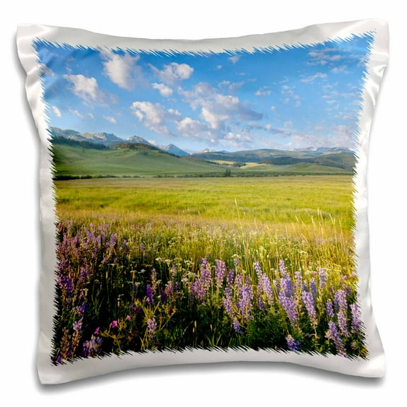 3dRose, Wildflowers, Gallatin Mountain Range, Bozeman Montana - US27 CHA2510 - Chuck Haney, 16x16 inch Pillow Case