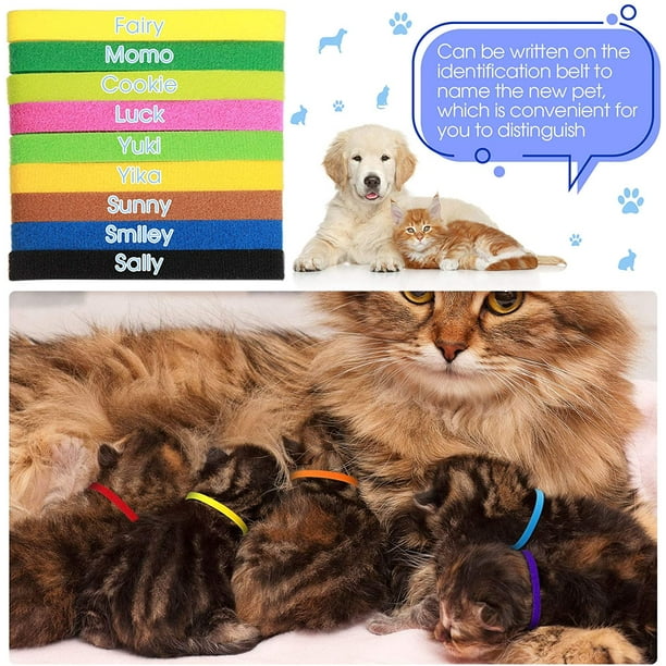 Kitten whelping cheap collars
