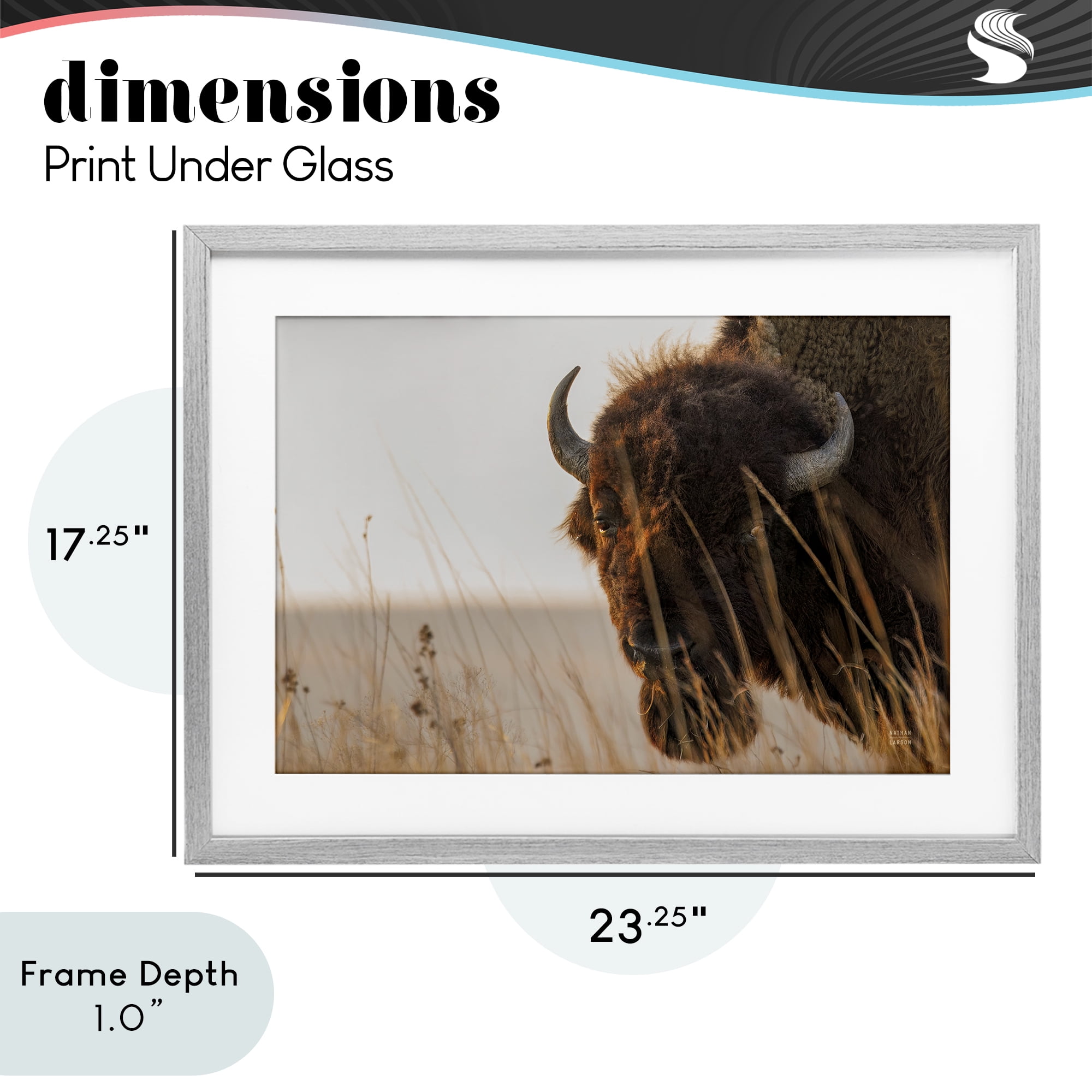 Stupell Industries Bison Sunset on Golden Prairie Gray Framed Print Under Glass, design by Nathan Larson