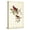 Canvas, variant on Art.com Common Cardinal Grosbeak Art Print by John James Audubon, 12" x 18"