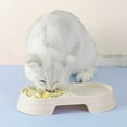 thumbnail image 1 of Cuenco De Alimentación Para Mascotas Likrtyny  Libre de BPA, 1 of 4