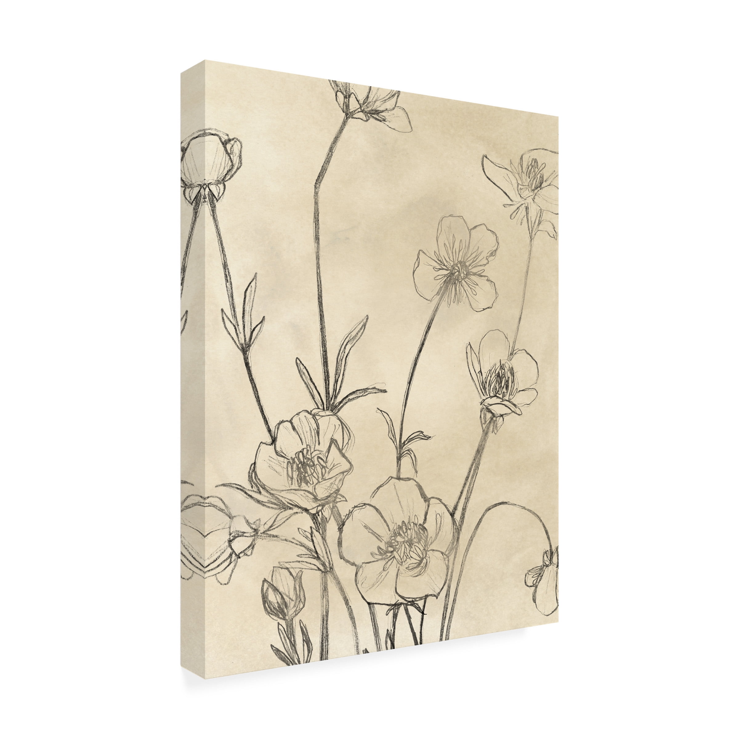 June Erica Vess 'Vintage Wildflowers I' Canvas Art