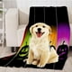thumbnail image 2 of Cojín Gato Perro Amortiguador Manta Accesorios de Animales Doemsticos Resistente Duradero - Coloridas calabazas, 2 of 8