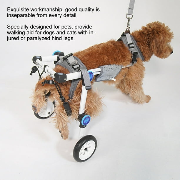 Pet Wheelchair, Doggie Exercise Wheels, Lightweight Foldable Cat Handicap Wheels Adjustable