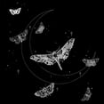 thumbnail image 2 of Women's Lost Gods Mystic Moth Moon  Graphic T-Shirt, 2 of 4