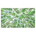 thumbnail image 2 of Mantel ABPHQTO de Abedul 150x260 cm paisaje naturaleza verde, 2 of 3