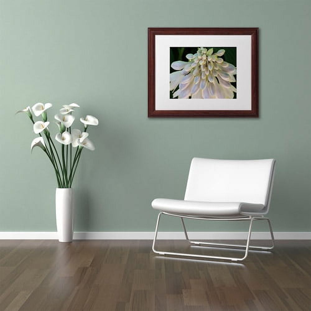 Trademark Fine Art "Hosta Flower Abstract" Canvas Art by Kurt Shaffer White Matte, Wood Frame
