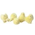 thumbnail image 5 of KUFptva Cartoon Plush Chicken Easter Festival Home Decors Interaction Easter for Kids Realistic Chicken Stuffed Toy, 5 of 7