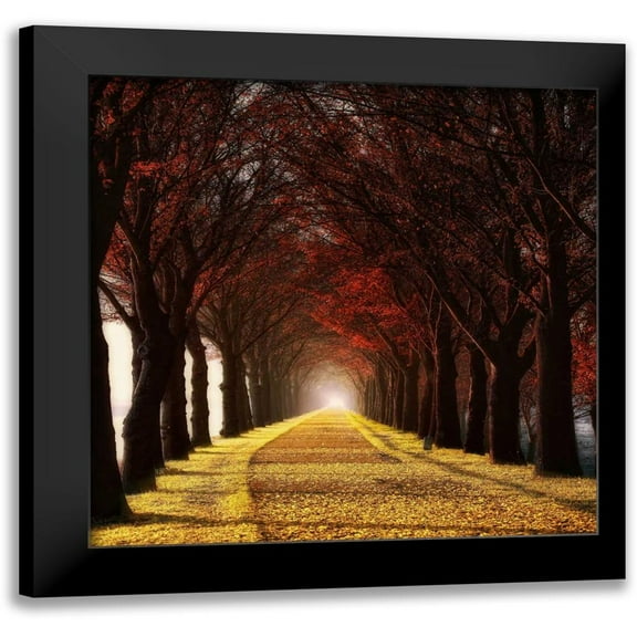 Van de Goor, Lars 12x12 Black Modern Framed Museum Art Print Titled - Wonder Curve