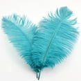Clearance！ Artificial flowers About 32 Cmcolorful Feathers