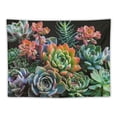 thumbnail image 5 of GOSMITH Succulents Tapestry Wall Hanging Tapestries for Bedroom Home Decorates Tapestrys Aesthetic Wall Hanging Decorates for Living Room Painting, 5 of 6