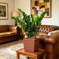 thumbnail image 5 of Self Watering Square Small Flower Pots Imitation Rattan Woven Texture 4.6 Inch Flower Pots for Indoor Plants Succulents and Desktop Home Decor, 5 of 6