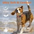 thumbnail image 6 of Minzimin Reflective Dog Collar, Soft Neoprene Padded Pet Collar for Small, Medium, Large Dogs, Adjustable Puppy Collars with Quick Release Buckle, Safe Breathable Nylon Dog Collars for Puppies, 6 of 7