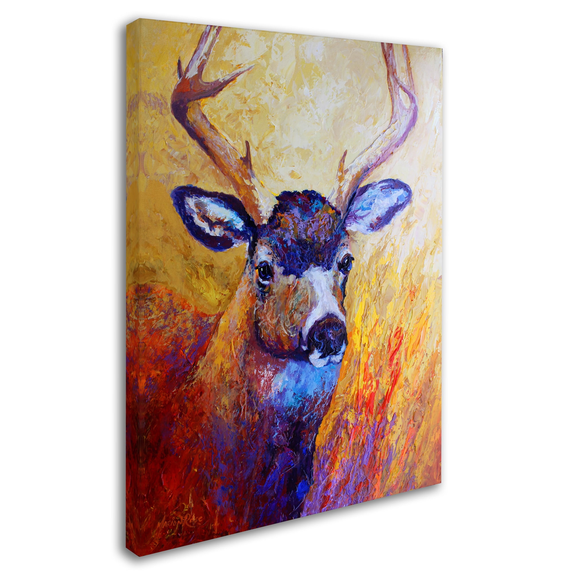 Trademark Fine Art 'Mule Deer Buck' Canvas Art by Marion Rose