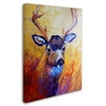thumbnail image 2 of Trademark Fine Art 'Mule Deer Buck' Canvas Art by Marion Rose, 2 of 3