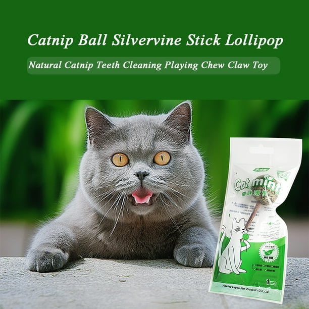 Catnip Ball Catnip Silvervine Stick Lollipop Natural Catnip Actinidia