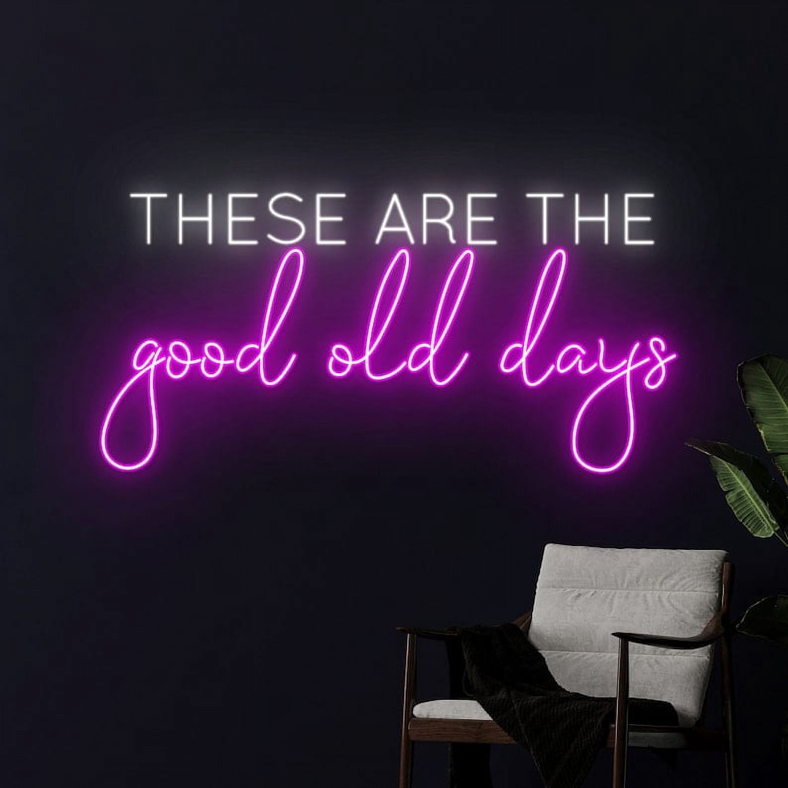 Handmadetneonsign These Are The Good Old Days Neon Sign, Phrase Saying LED Light, Text Led Sign