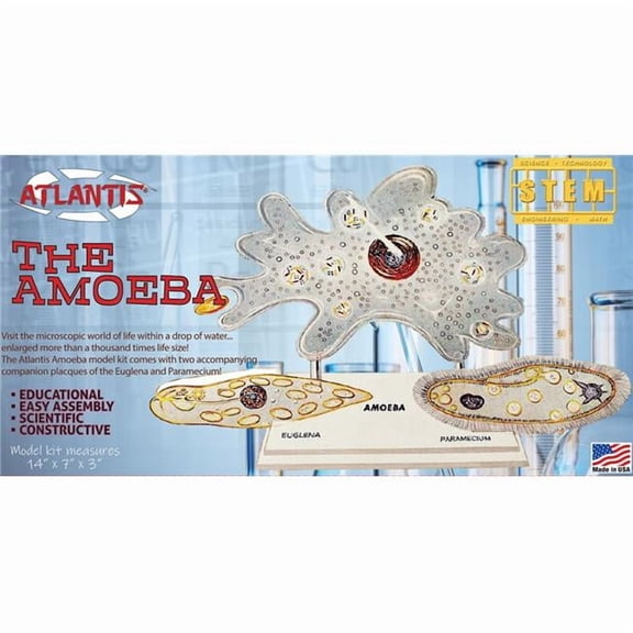 Amoeba Single Cell STEM Plastic Figures