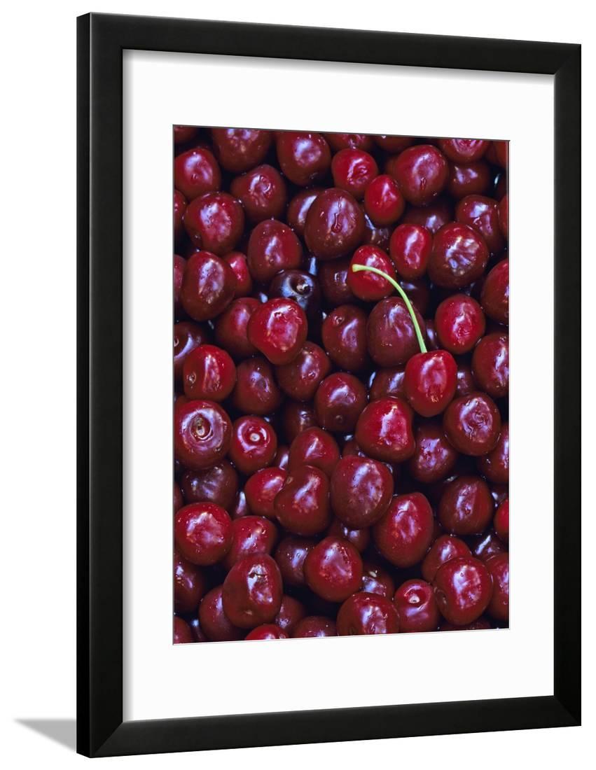 Flathead Sweet Cherries, Montana, USA Framed Print Wall Art by Chuck