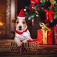 thumbnail image 1 of WHAMVOX 1 Set Dog Costumes Fleece Red ORNAMENT for Photo Shoot, 1 of 6